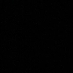 Meet your Posher, Tashai